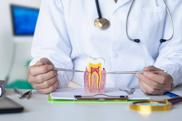 Best Emergency Treatment for Toothache in Pojoaque, NM